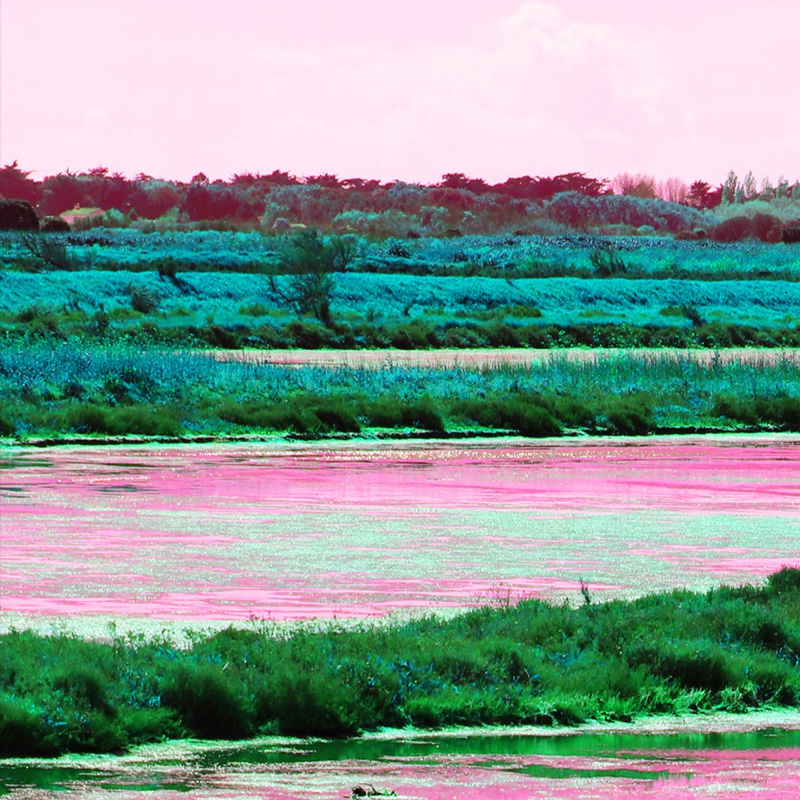 Fond aesthetic